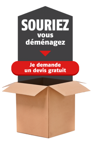 demenagements-guelin-devis-gratuit-cta